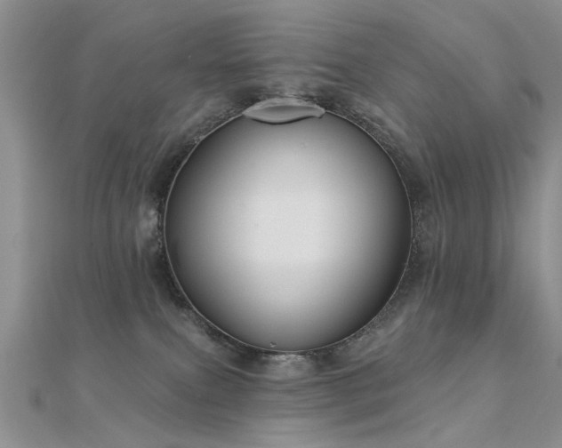 X0000112030087200908101348