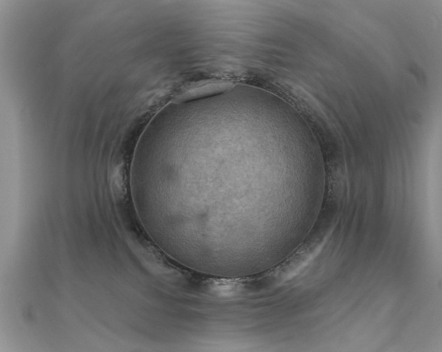X0000112030088200908101348