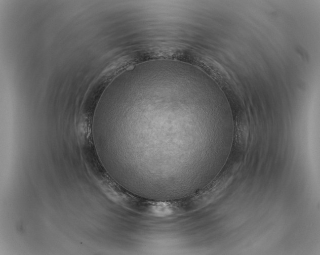 X0000112030091200908101348