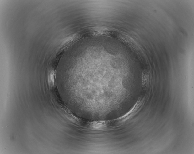 X0000112030094200908101348