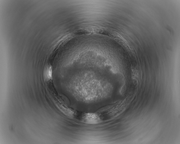 X0000112030095200908101348