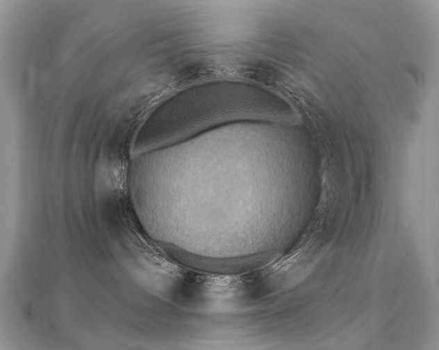 X0000112030096200908101348
