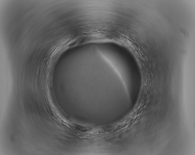 X0000112030097200908101348