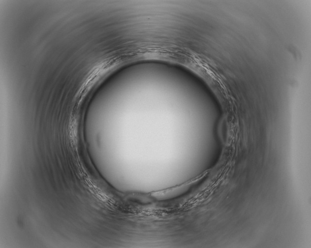 X0000112030098200908101348