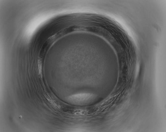 X0000112030099200908101348
