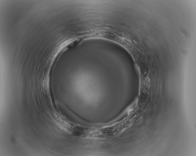 X0000112030100200908101347