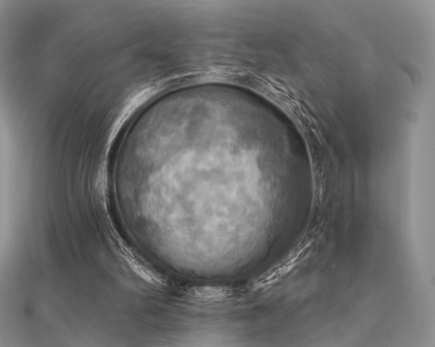 X0000112030102200908101347