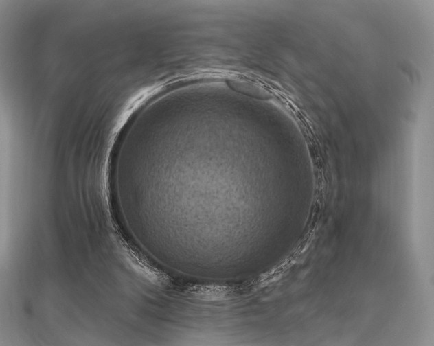 X0000112030104200908101347