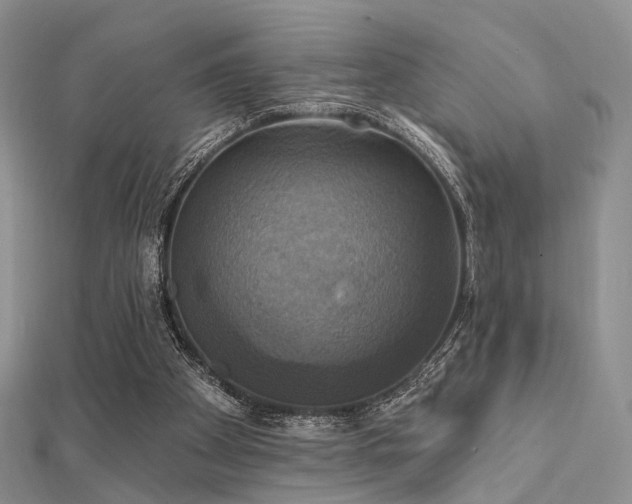 X0000112030105200908101347