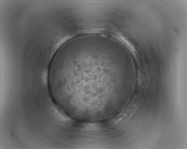 X0000112030107200908101347