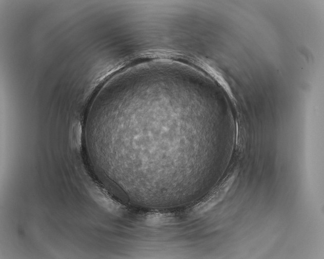 X0000112030109200908101347