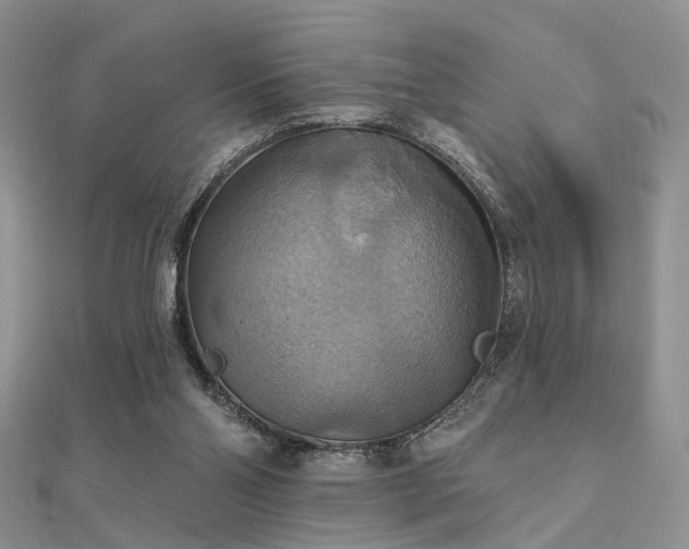X0000112030110200908101347