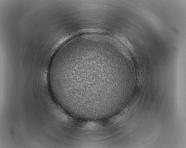 X0000112030111200908101347