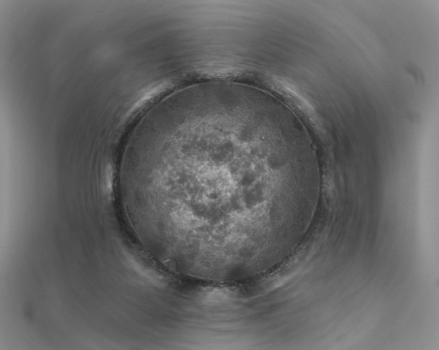 X0000112030115200908101347