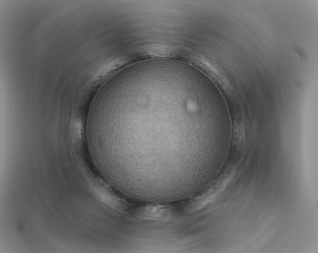 X0000112030117200908101347