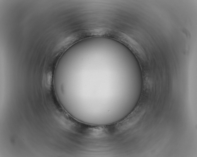 X0000112030118200908101347