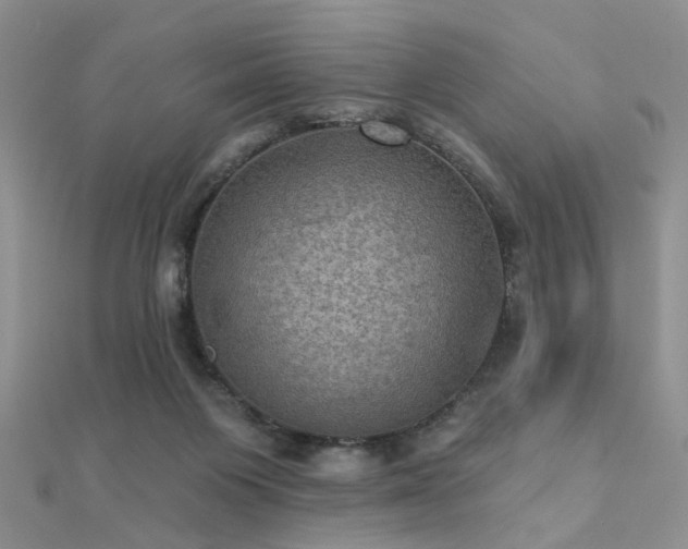 X0000112030119200908101347