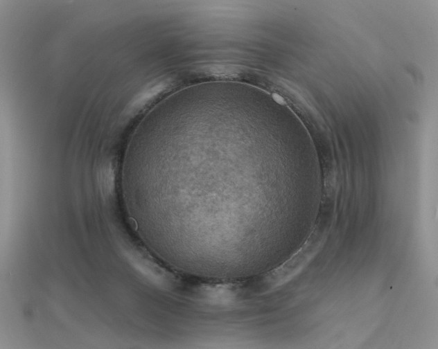 X0000112030120200908101347