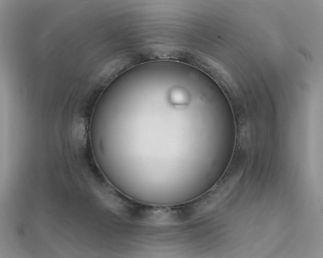 X0000112030121200908101347