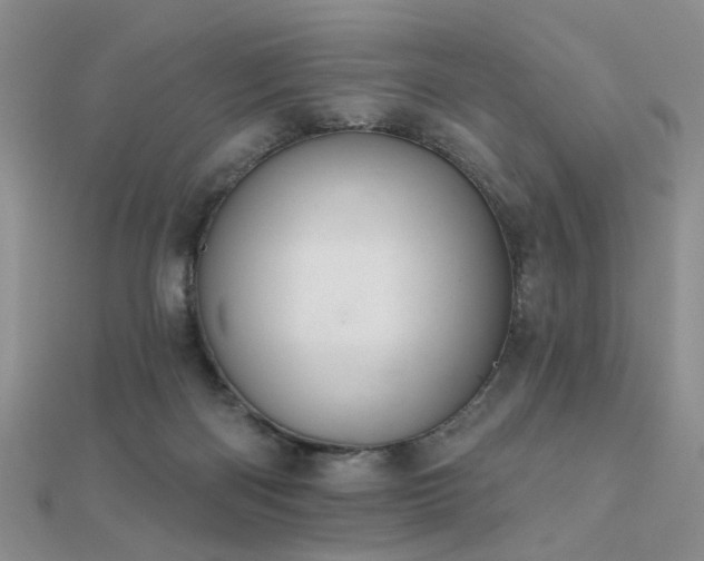 X0000112030122200908101347