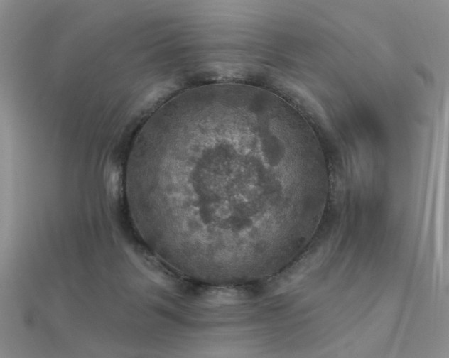 X0000112030123200908101347