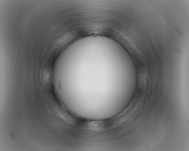 X0000112030126200908101347