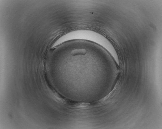 X0000112030128200908101347