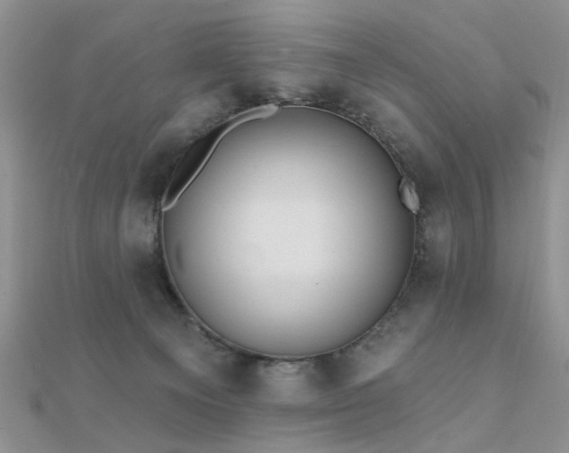 X0000112030129200908101347