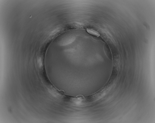 X0000112030131200908101347