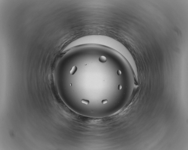 X0000112030132200908101347