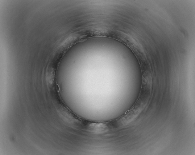 X0000112030133200908101347