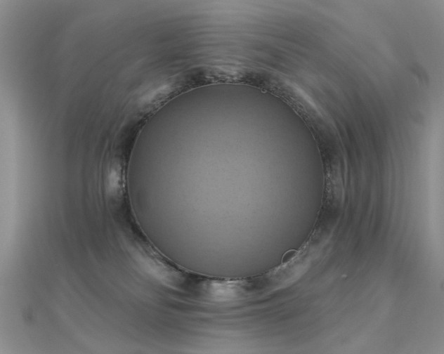 X0000112030134200908101347