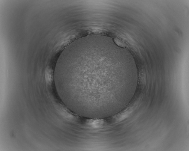 X0000112030135200908101347