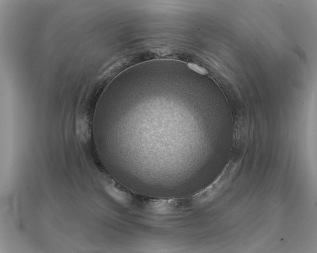 X0000112030136200908101347