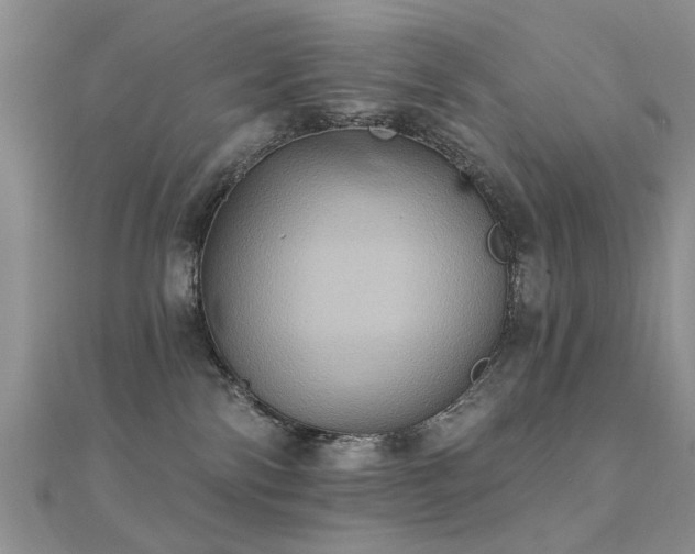 X0000112030138200908101347