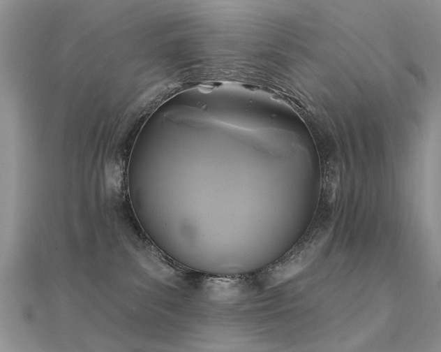 X0000112030139200908101347