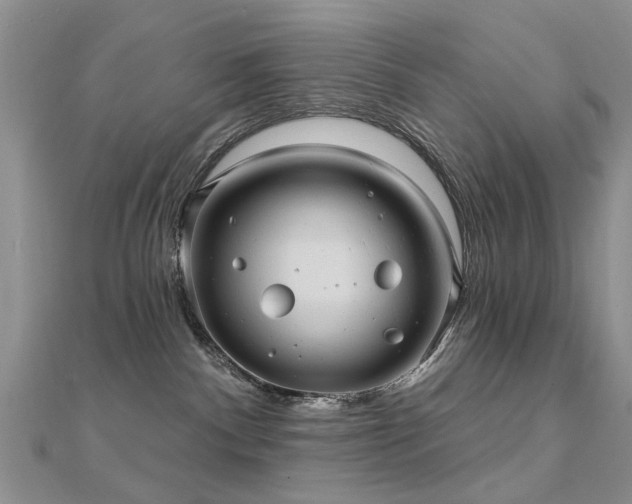 X0000112030140200908101347