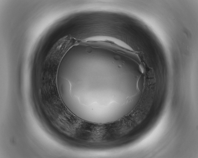 X0000112030143200908101347
