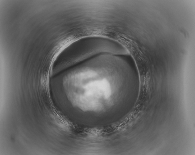 X0000112030148200908101346