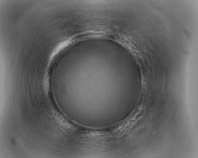 X0000112030149200908101346