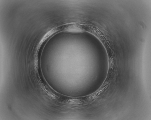 X0000112030150200908101346