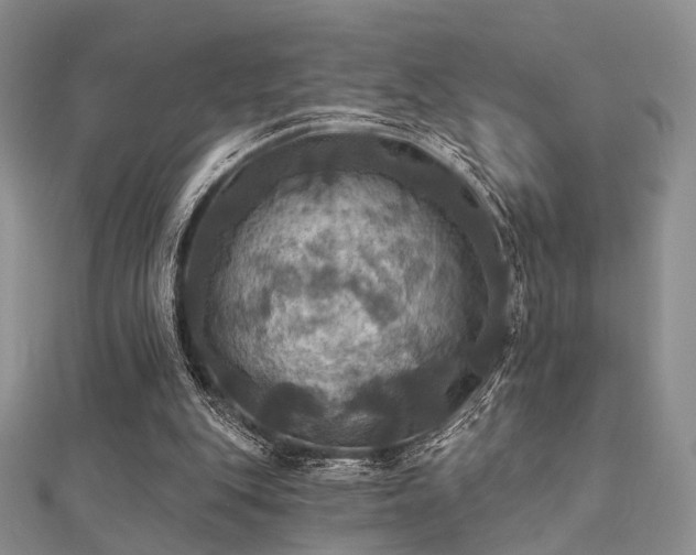X0000112030151200908101346