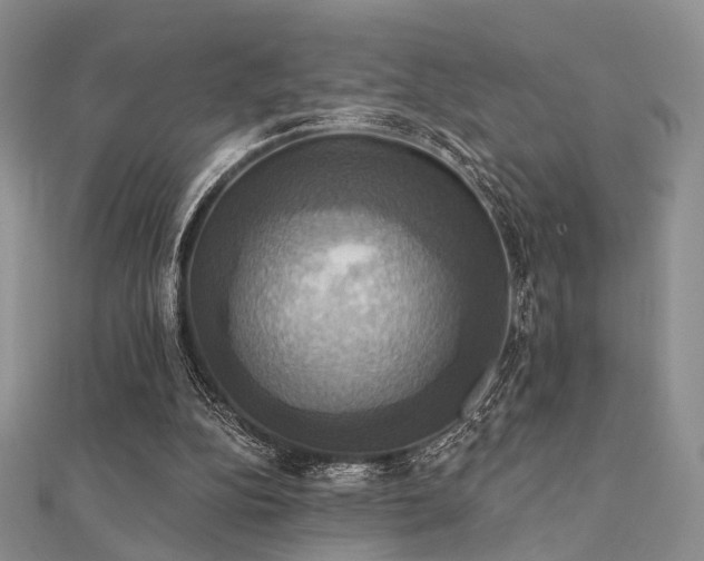 X0000112030152200908101346