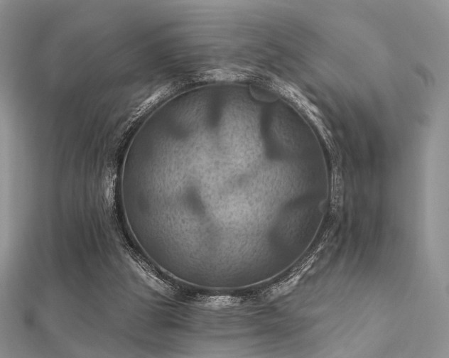X0000112030153200908101346