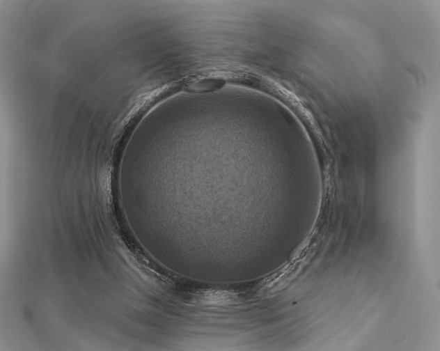 X0000112030154200908101346