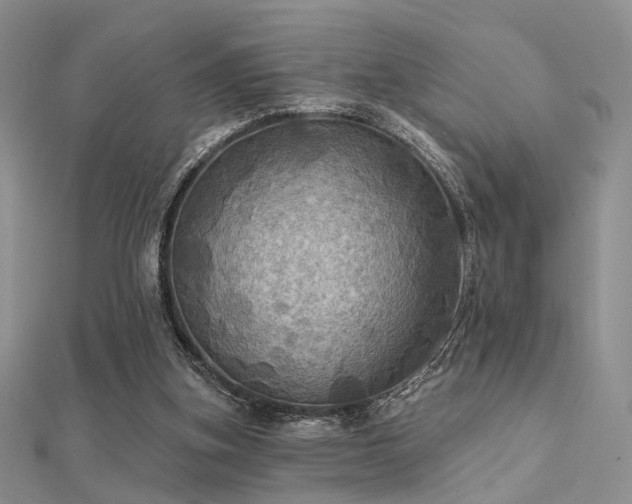 X0000112030155200908101346
