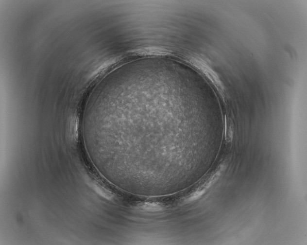 X0000112030157200908101346
