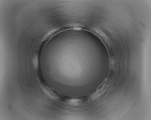 X0000112030158200908101346