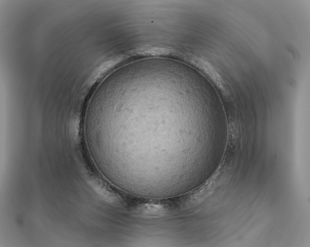 X0000112030159200908101346