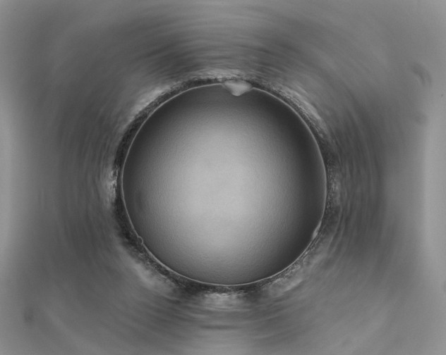 X0000112030160200908101346